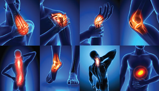 15 Signs Your Body is Aging Faster Than You Are | Here’s an SEO-optimized meta description for **"15 Signs Your Body is Aging Faster Than You Are"**:
**"Is your body aging faster than your actual age? Discover 15 early signs of premature aging and learn how to slow down the process naturally with expert tips and remedies."**
Let me know if you’d like one focused more on affiliate marketing or health products!