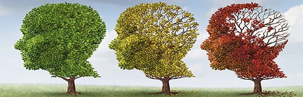15 Signs Your Body is Aging Faster Than You Are | Here’s an SEO-optimized meta description for **"15 Signs Your Body is Aging Faster Than You Are"**:
**"Is your body aging faster than your actual age? Discover 15 early signs of premature aging and learn how to slow down the process naturally with expert tips and remedies."**
Let me know if you’d like one focused more on affiliate marketing or health products!