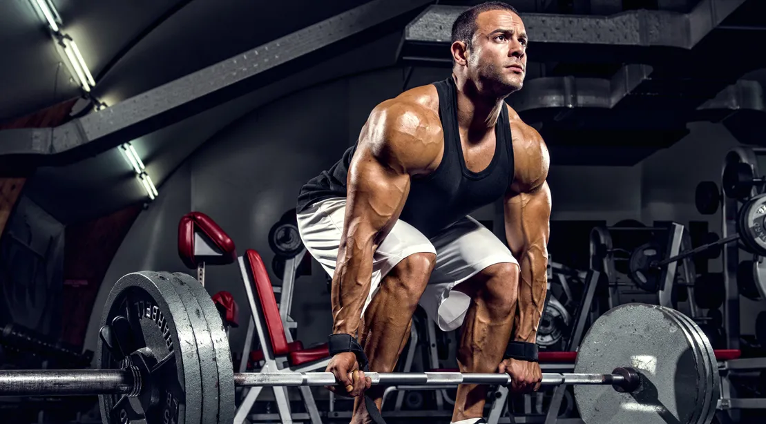 You are currently viewing 10 Best Exercises to Stay Fit and Healthy – Full-Body Workouts for Every Level